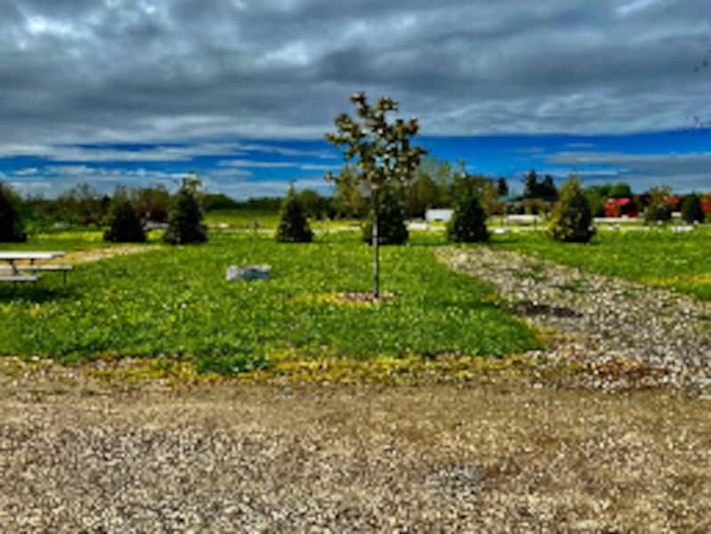 Primitive Tent Site-1